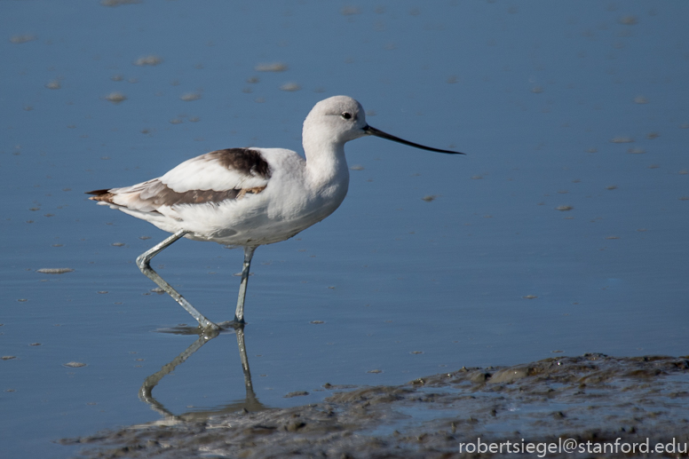 baylands